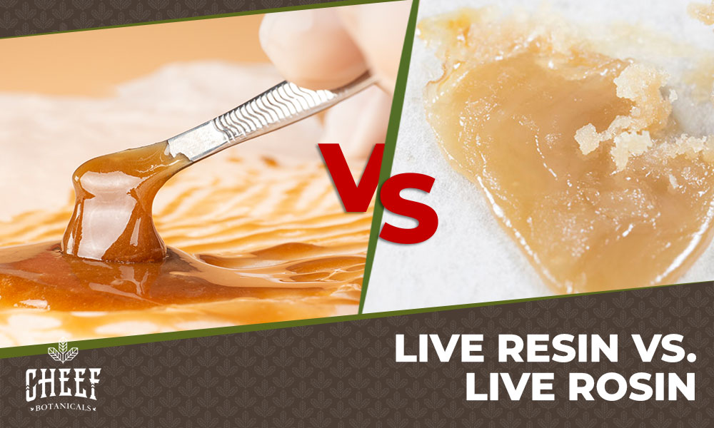Live Resin vs Live Rosin - What's The Difference?