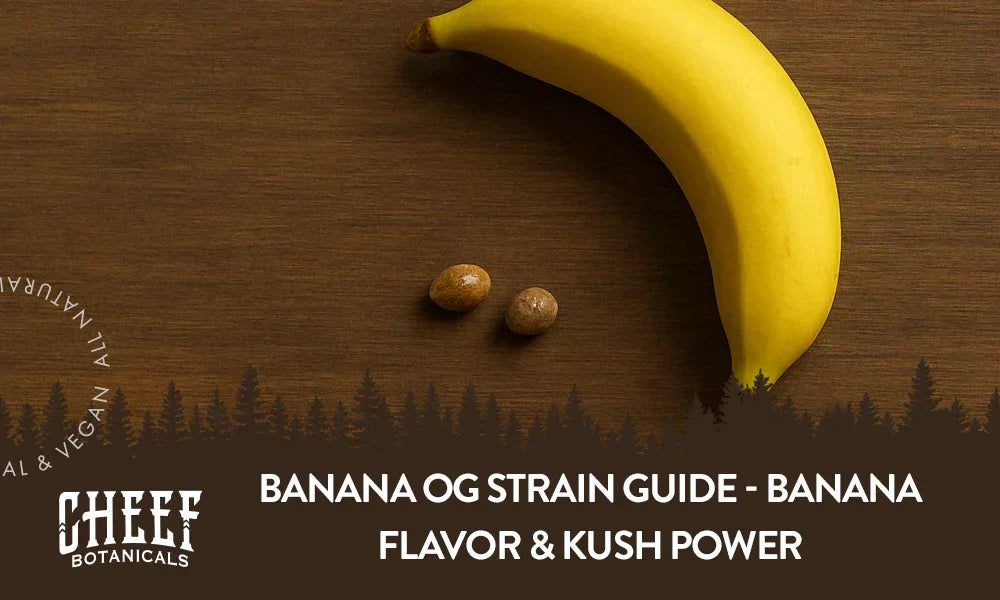 A couple of Banana OG seeds with a banana sitting next to them.