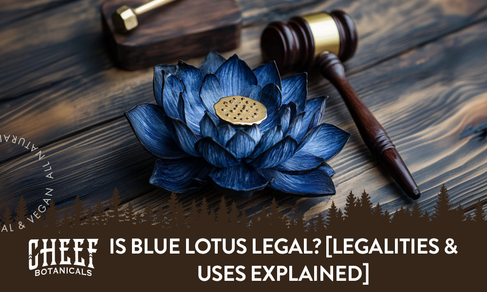 A blue lotus flower with a judges gavel sitting on a wooden table with the title "Is blue lotus legal".