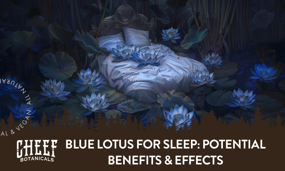 Blue Lotus for Sleep featured blog image by Cheef Botanicals. Shows an illustrated image of blue lotus flowers on and around a bed in low blue light.