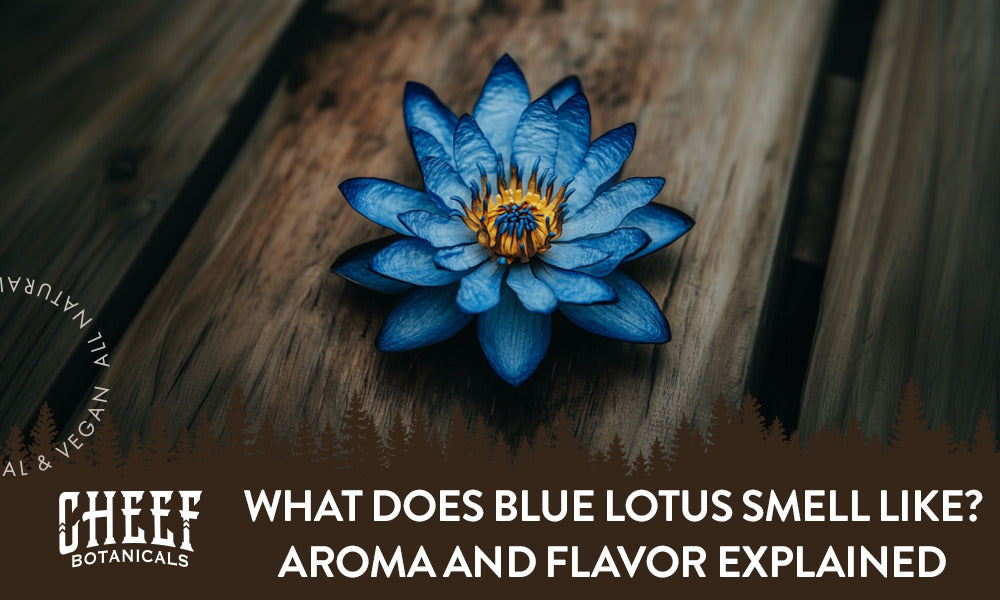 What does Blue Lotus smell like. Shows a Blue lotus flower on a wooden surface.