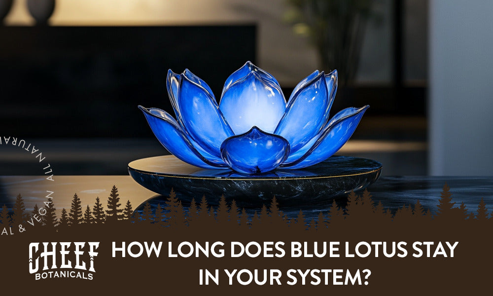 How Long Does Blue Lotus Stay in Your System?