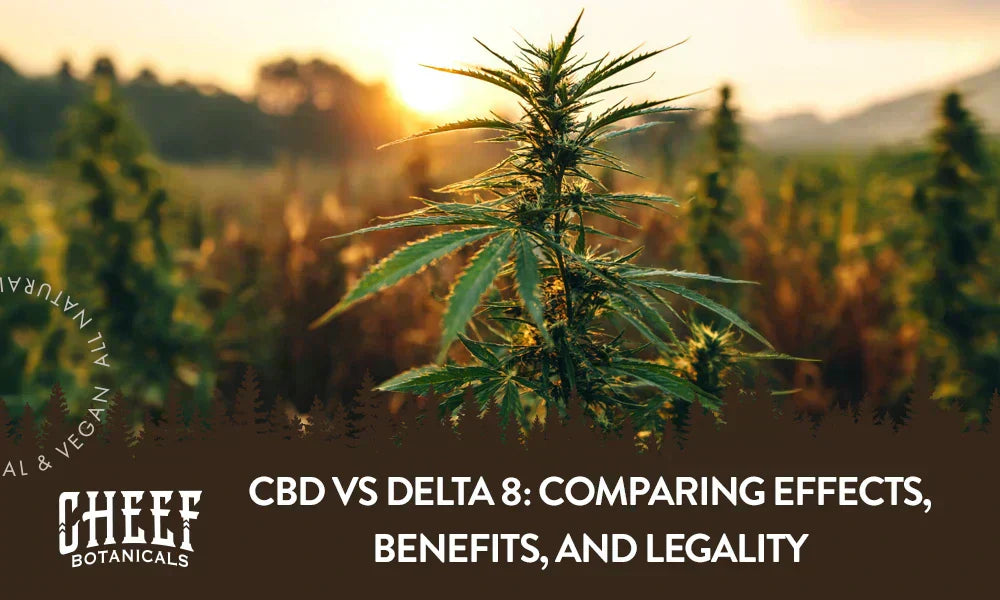 A field of cannabis plants growing with the title "CBD vs delta 8".