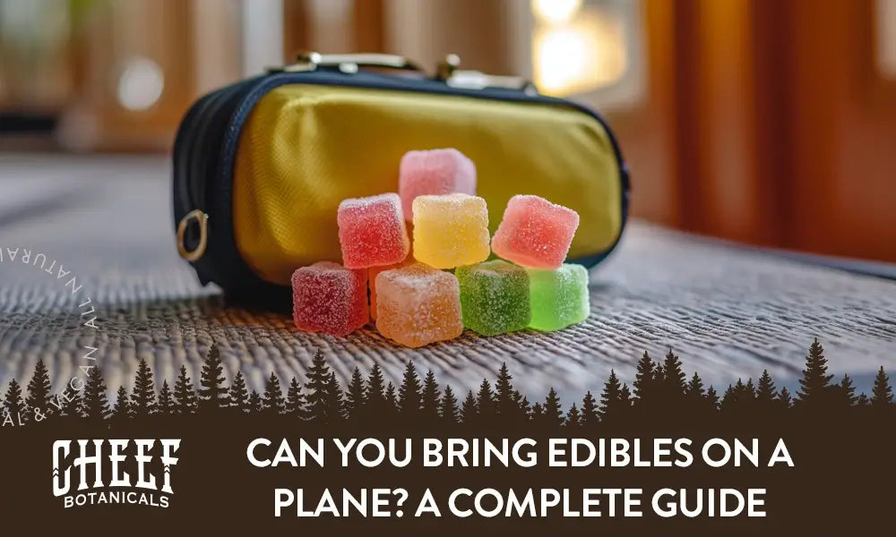 Can You Bring Edibles on a Plane? A Complete Guide