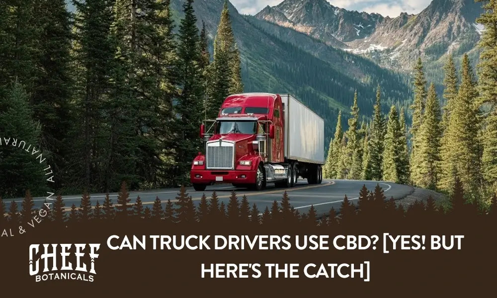 An 18 wheeler truck driving down a road with the title "Can truck drivers use CBD".