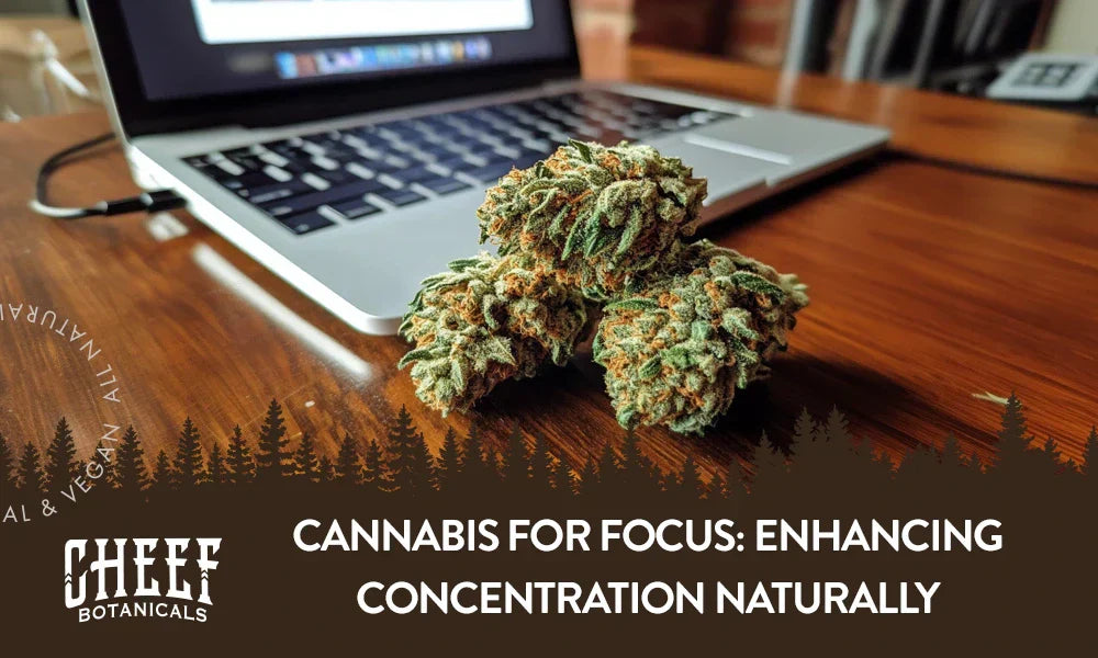 A couple of cannabis buds sitting on a wooden table with a laptop on it as well.