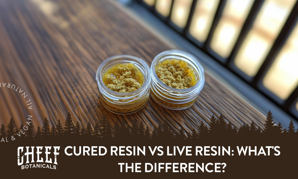 Cured Resin vs Live Resin featured blog image. Shows a container of live resin next to a container of cured resin, both are displayed on a wooden surface.