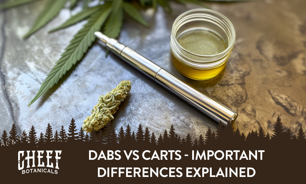 Dabs vs Carts - Most Important Differences Explained