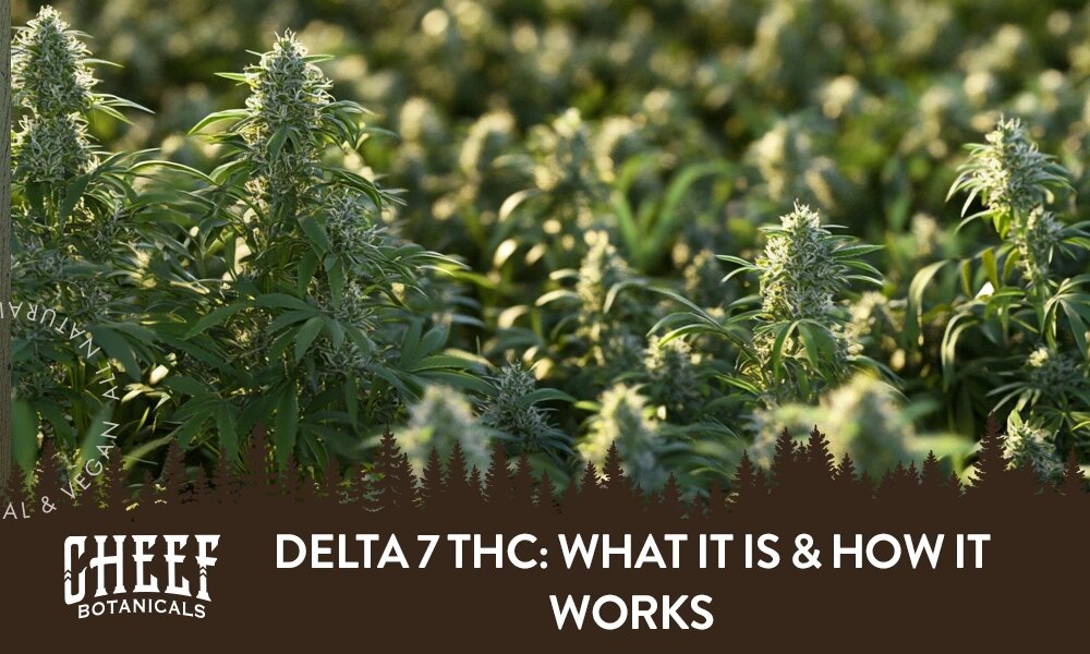 Delta 7 THC: What It Is & How It Works