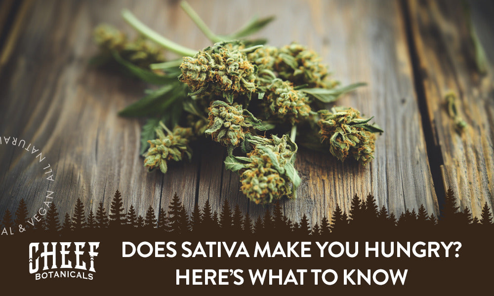 Does Sativa Make You Hungry featured blog image by Cheef Botanicals. Show a small pile of dried untrimmed Sativa buds on a wooden surface.
