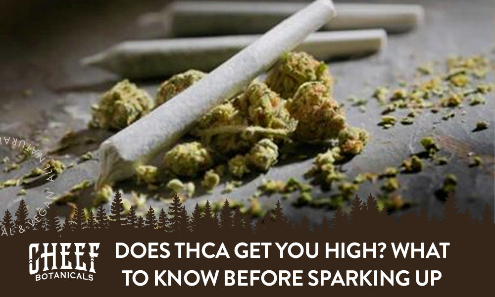 Does THCA Get You High featured blog image by Cheef Botanicals. Shows some THCA joints on top of some cured buds and shake.