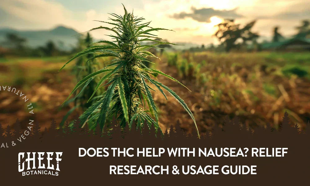 A THC plant growing outside with the title "Does THC help with nausea".
