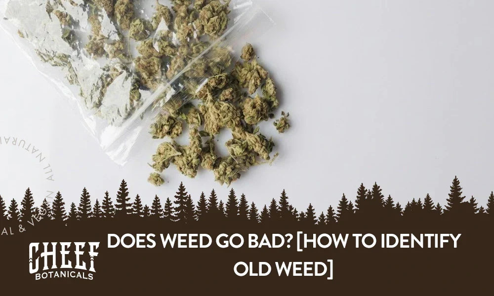 A bunch of old looking weed spilling out of a ziplock baggie with the title "Does weed go bad".
