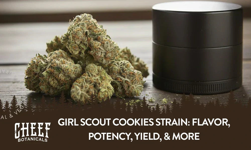 A bunch of Girl Scout Cookies nugs sitting on a wooden table with a black grinder sitting next to it.