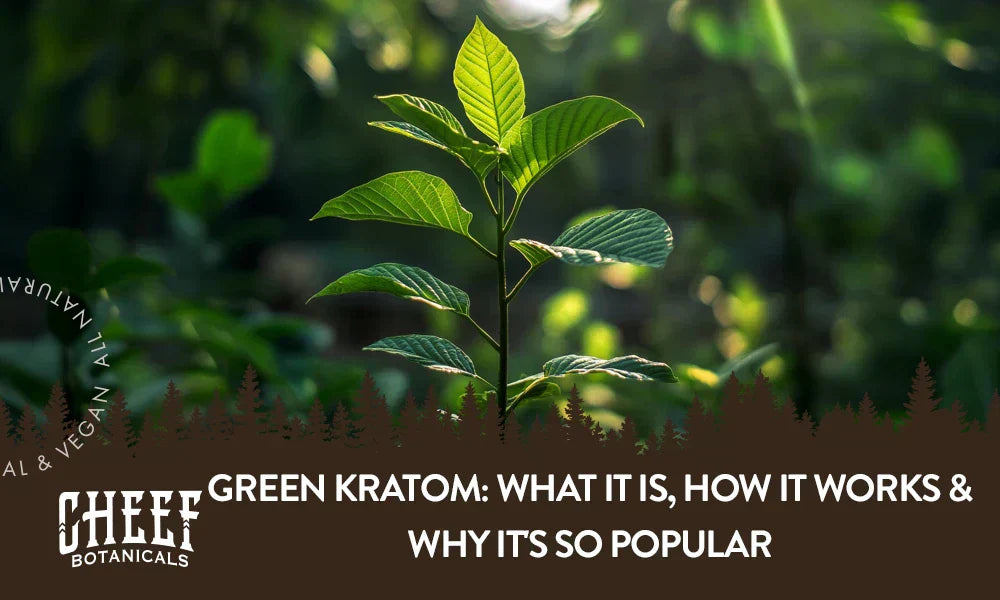 A Kratom plant growing naturally outside.
