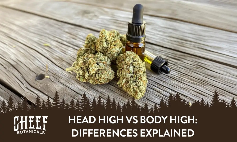 Head High vs Body High: Differences Explained