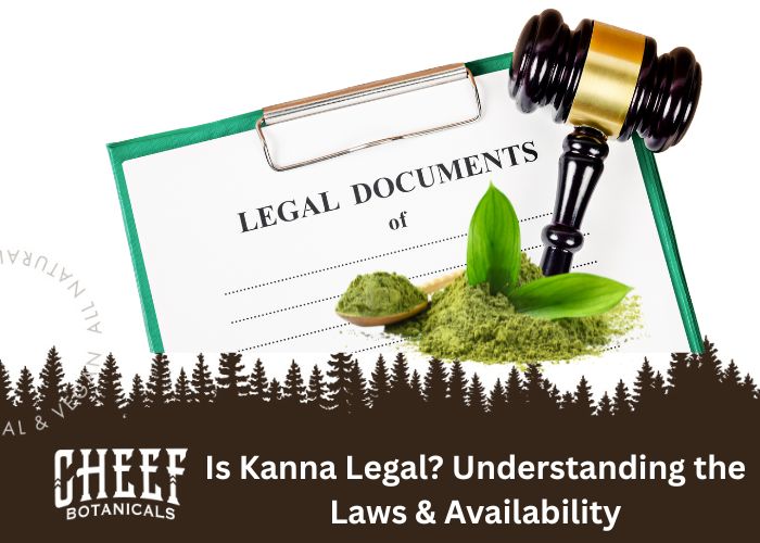 kanna　AKTE Shop Kanna Products Online | CannaBuddy