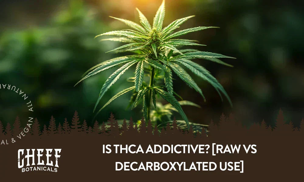 A cannabis plant growing outside with the title "Is THCa addictive".