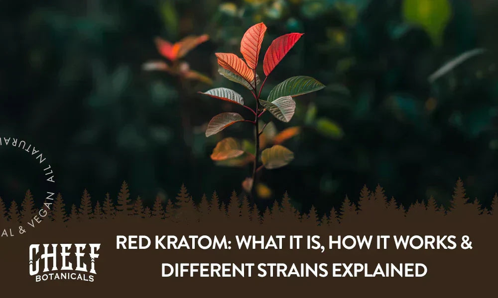 A Red Kratom plant growing naturally outside.
