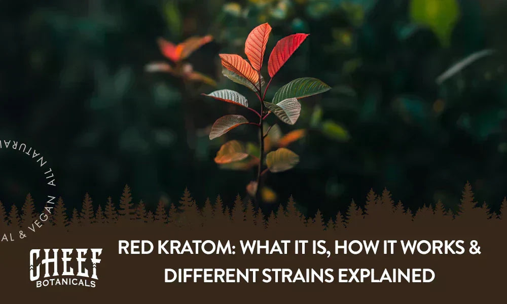 A Red Kratom plant growing naturally outside.