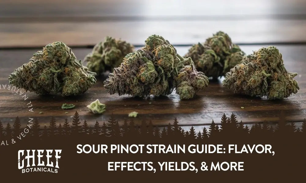 A bunch of Sour Pinot buds sitting on a wooden table.
