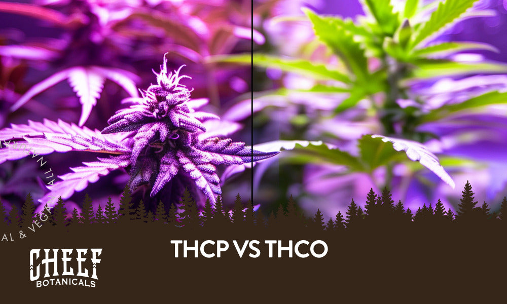 THCP vs. THCO: Effects, Potencies, Legalities, & More