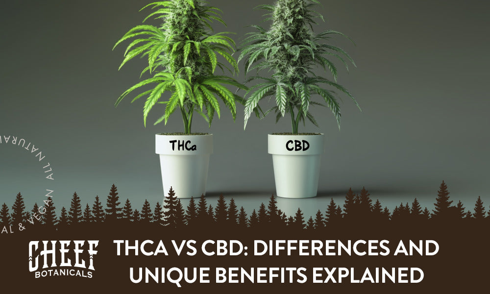 Two different cannabis pots labeled THCa and CBD with the title "THCa vs CBD".