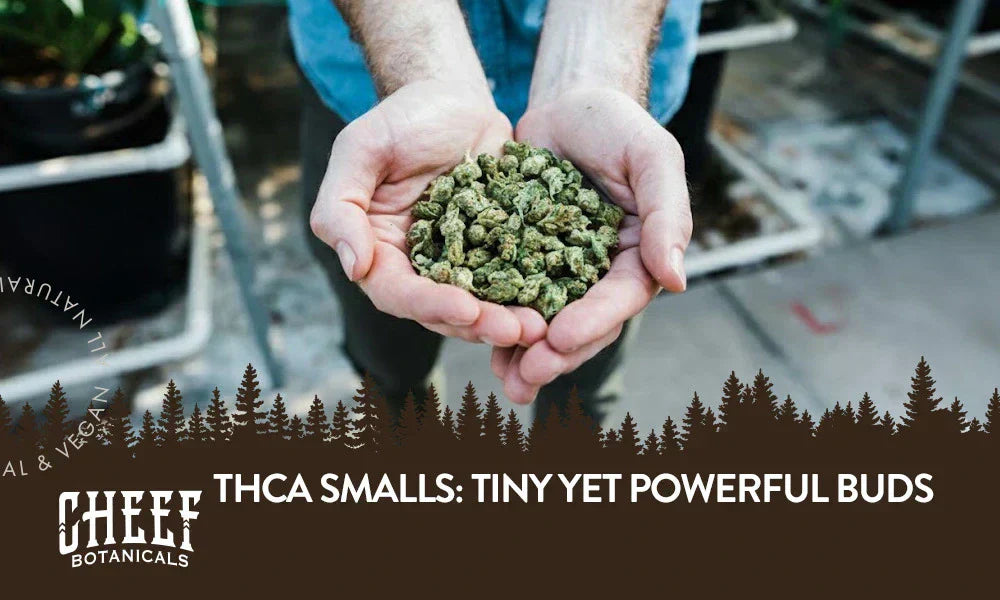 A man holding a handful of THCa small buds with the title "THCa smalls".