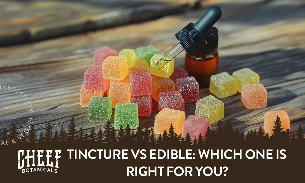 Tincture vs Edibles featured blog image by Cheef Botanicals. Shows a pile of gummy edibles (various colors) with a bottle of CBD oil and a tincture dropper.