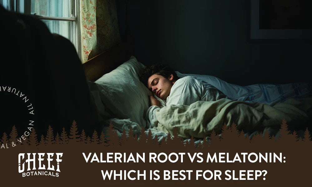 Valerian Root vs Melatonin: Which Is Best for Sleep?