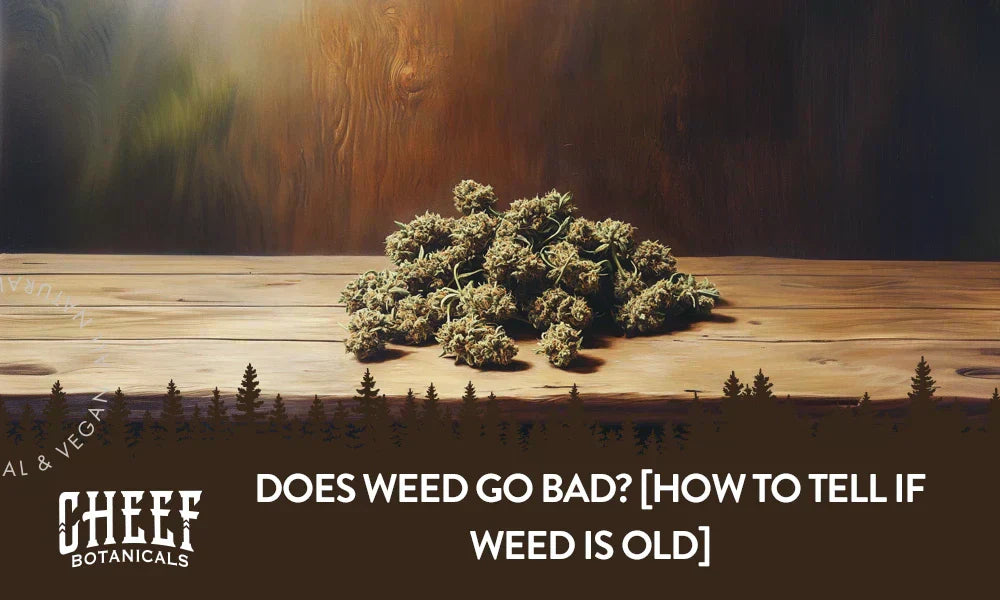 A couple brown looking cannabis buds with the title "Does weed go bad".