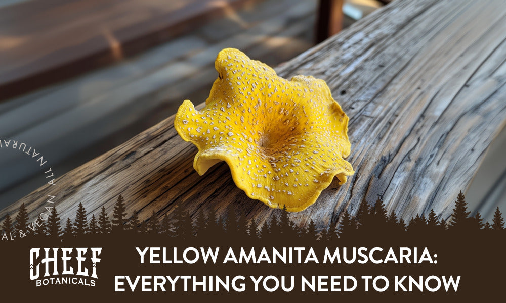 A yellow amanita muscaria mushroom sitting on a wooden table.