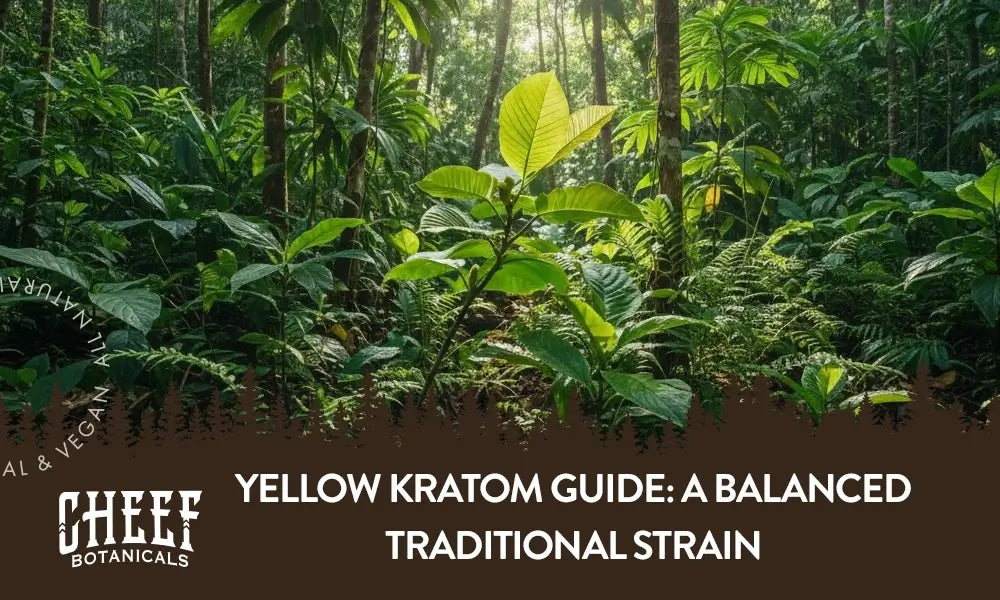 A kratom plant growing in a jungle with the title "Yellow kratom guide".