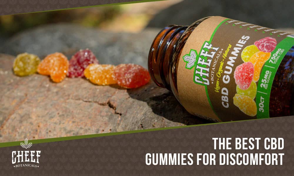 Best CBD Gummies For Mood, Digestion, Discomfort, and MORE
