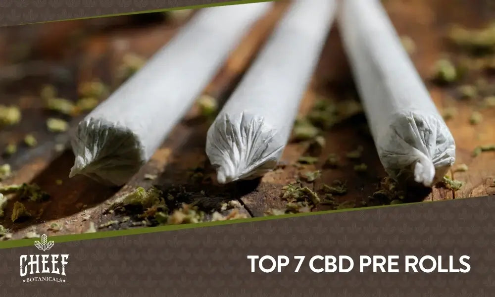 Best CBD Pre Rolls featured blog image by Cheef Botanicals. Shows 3 hemp flower pre rolls on some ground weed.