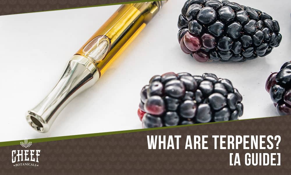best terpenes