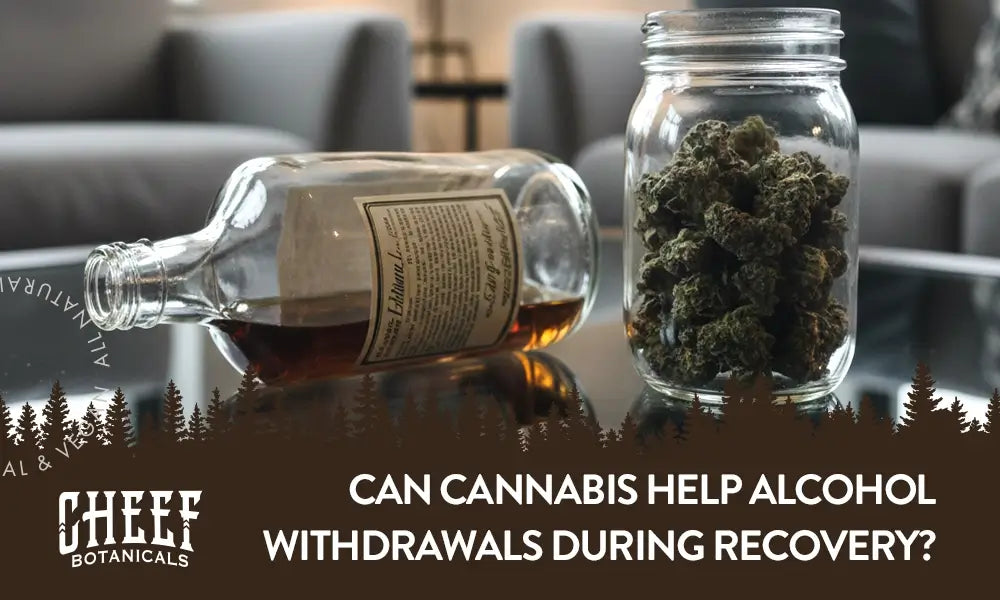 Can Cannabis Help Alcohol Withdrawal featured blog image by Cheef Botanicals. Show THCa buds in a mason jar next to a bottle of alcohol laying on its side.
