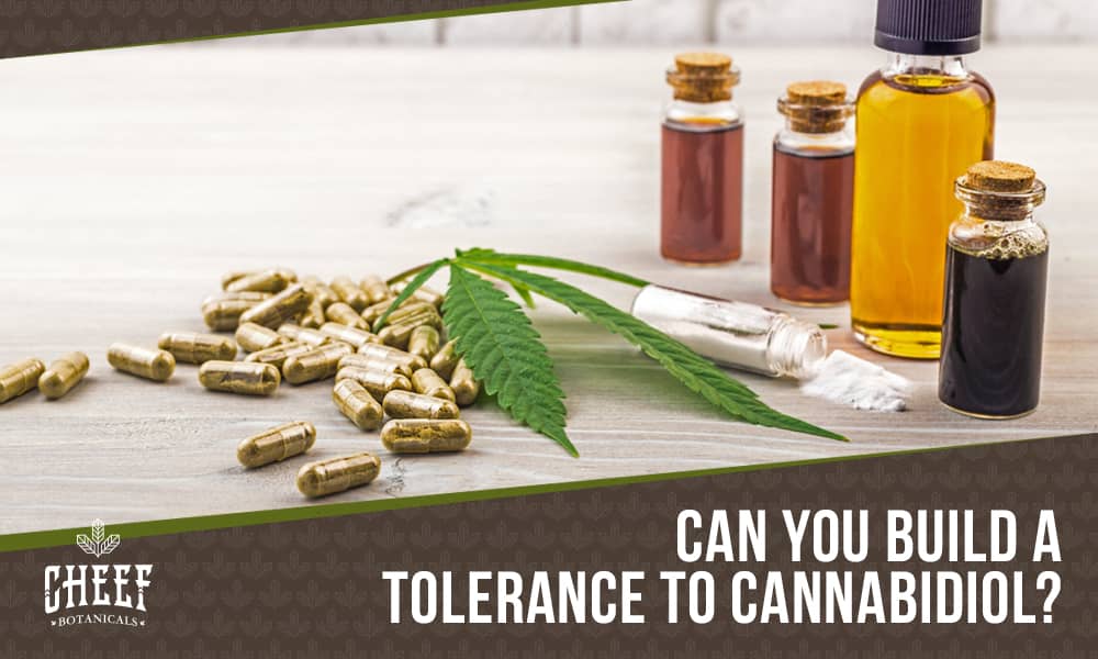 can you build a tolerance to cbd