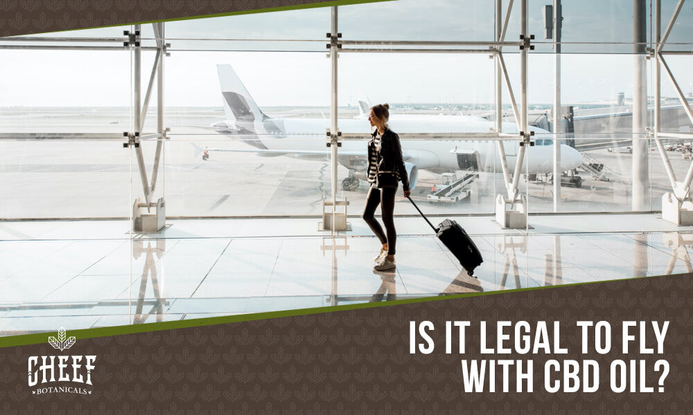can you fly with cbd oil