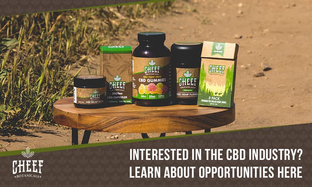 cbd business opportunities