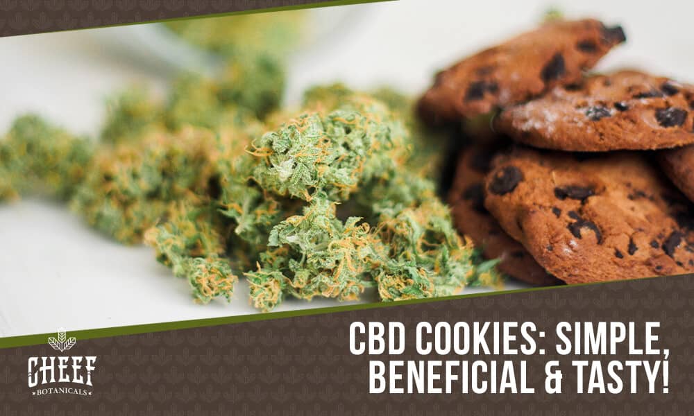 CBD Cookies featured blog image by Cheef Botanicals. Shows a pile of CBD flower near some CBD chocolate chip cookies.