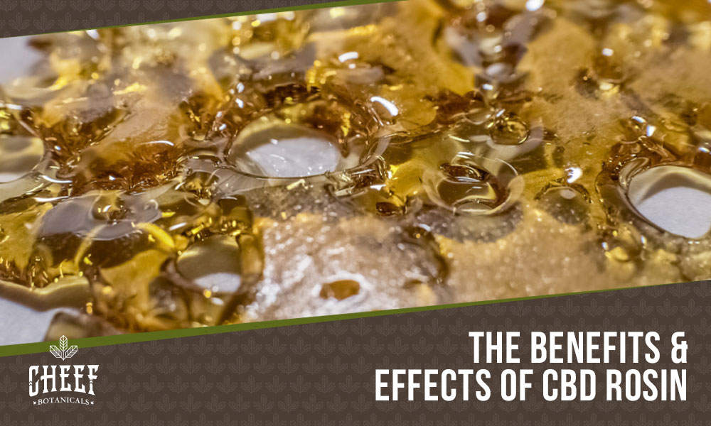 cbd rosin
