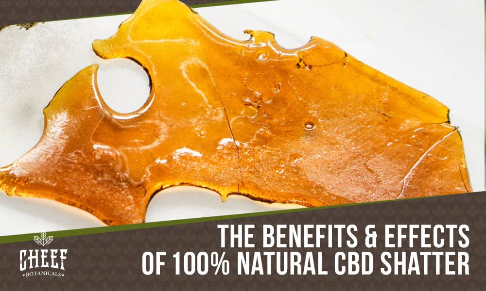 cbd shatter