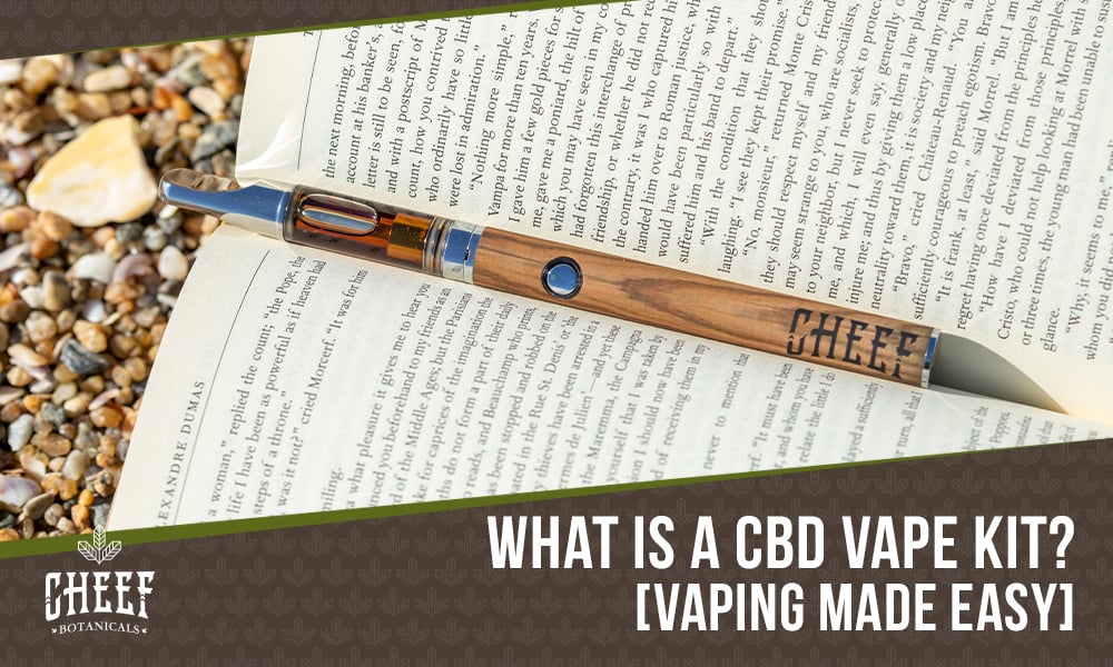 elfbar nachfüll pod läuft aus CBD Vape Kit: Everything You Need To Start Vaping Today