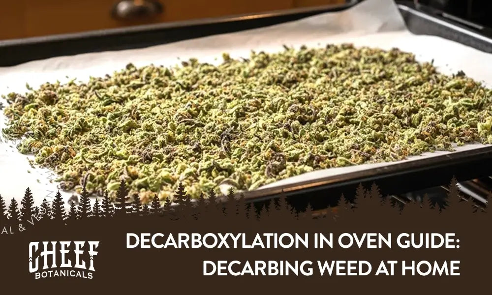 Decarboxylation In Oven Guide featured image by Cheef Botanicals. Show a thin layer of ground cannabis flower on parchment paper on an oven tray in the oven.