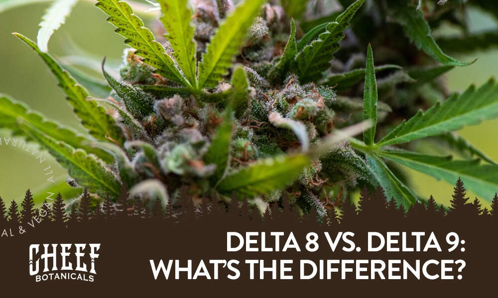 delta 8 vs delta 9