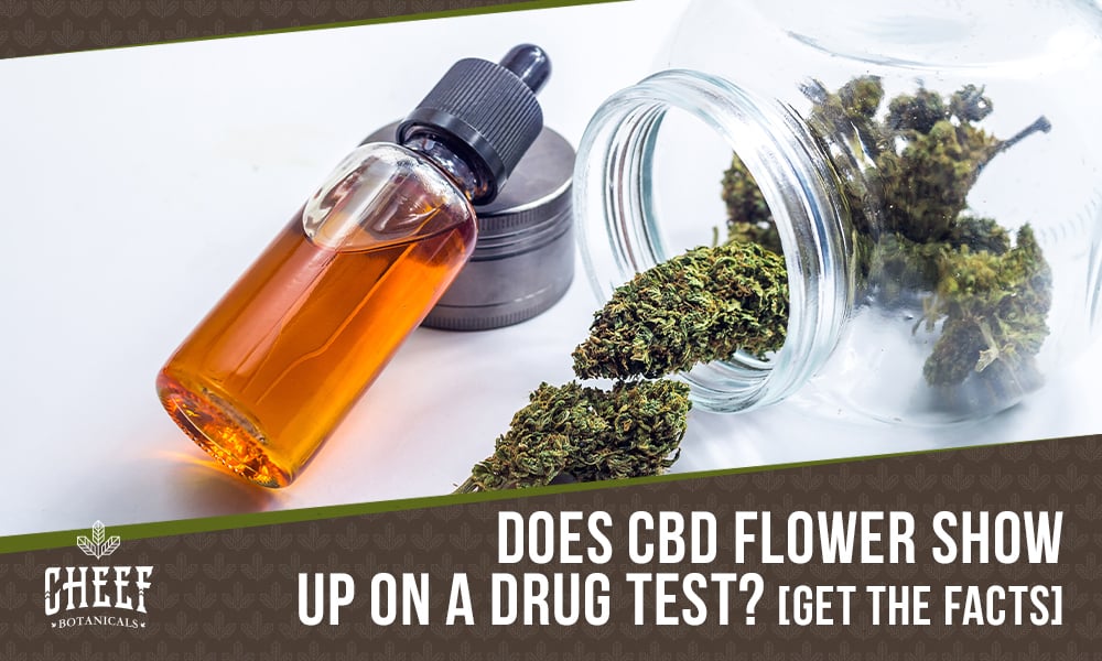 does cbd flower show up on a drug test featured blog image by Cheef Botanicals. Shows some CBD flowe and a tincture bottle