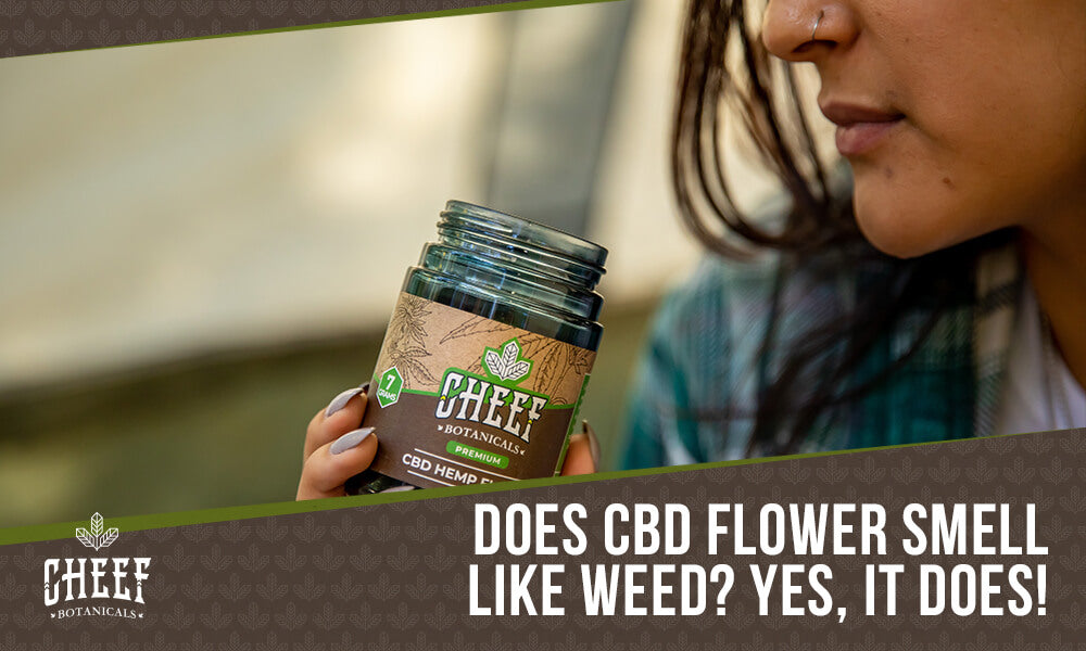 Does CBD Flower Smell Like Weed featured blog image by Cheef Botanicals. Shows a woman smelling a container of CBD flower.