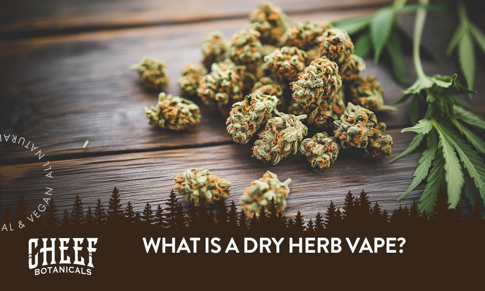 What Is a Dry Herb Vape?