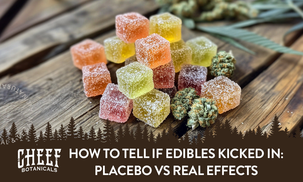 How to tell if edibles kicked in featured blog image by Cheef Botanicals. Shows a pile of edible cannabis gummies and a few cannabis buds on a wooden surface.